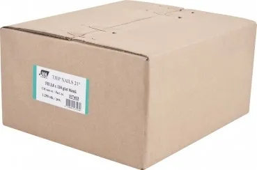 TJEP FH 38/130 glatte Nägel mit Rundkopf Blank